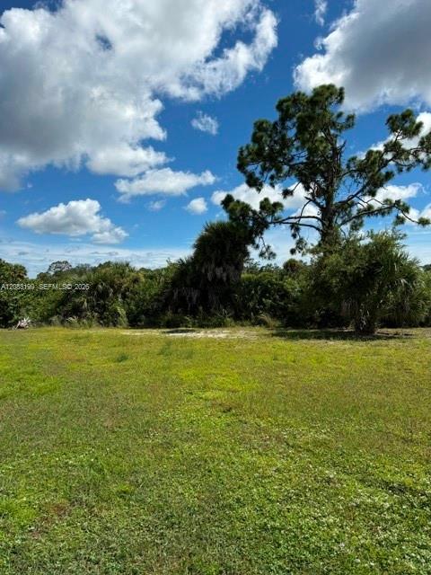 2336 Hale Street, Port Charlotte FL 33953 photo 3