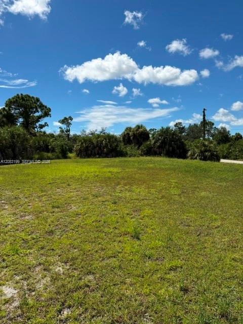 2336 Hale Street, Port Charlotte FL 33953 photo 5