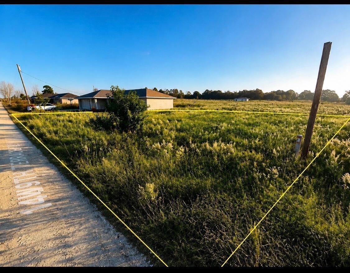 Sw 153rd Avenue SW Rainbow Park Avenue, Ocala FL 34481 photo 3
