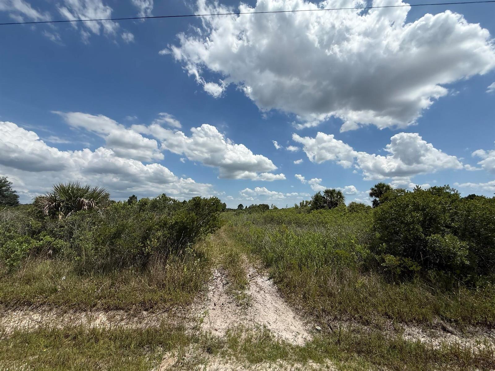 16162 NW 290TH Street, Okeechobee FL 34972 photo 2