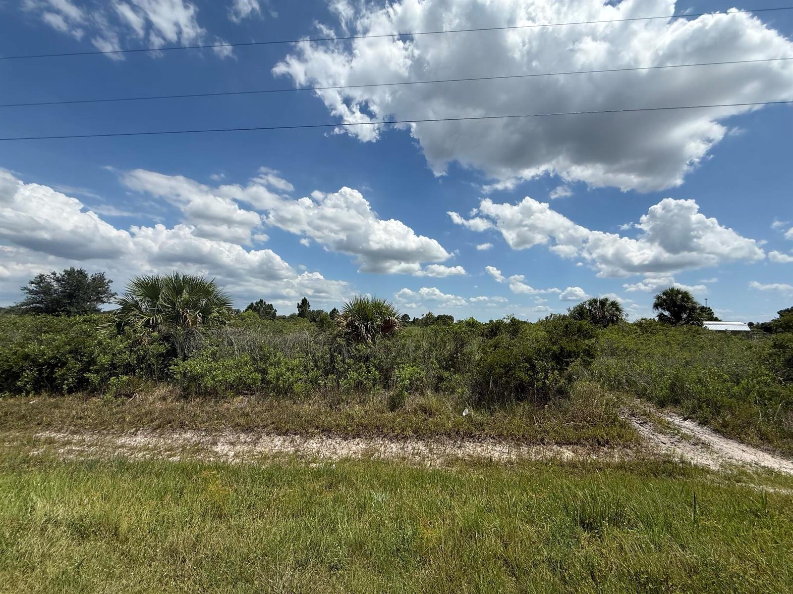 16162 NW 290TH Street, Okeechobee FL 34972 photo 3