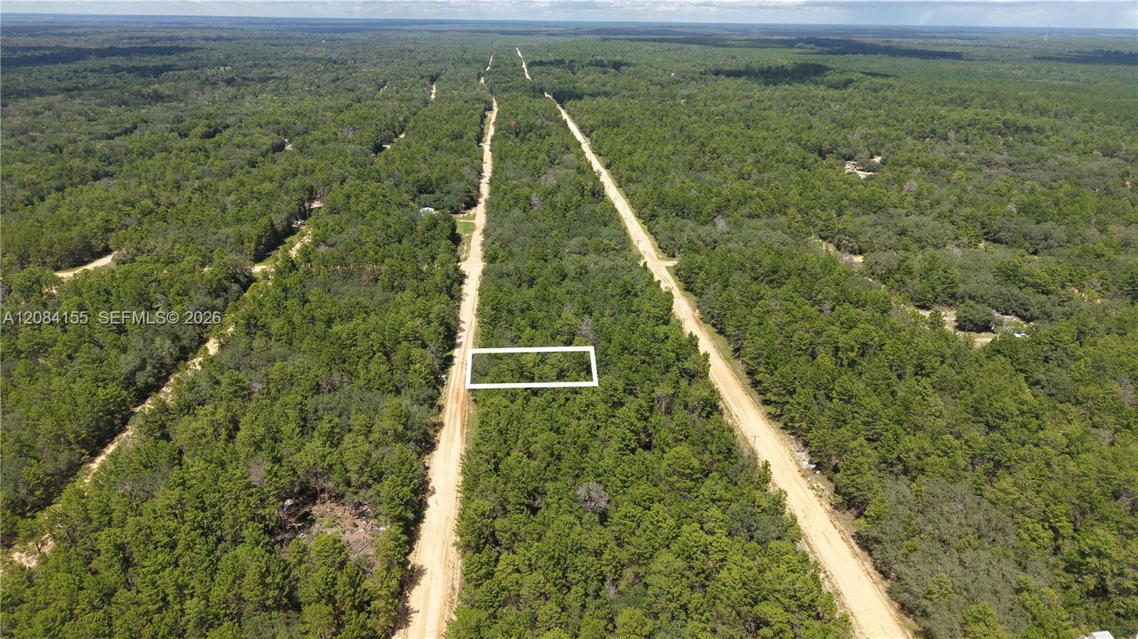 N/A Neilsen Ave, Other City - In The State Of Florida FL 32148 photo 3