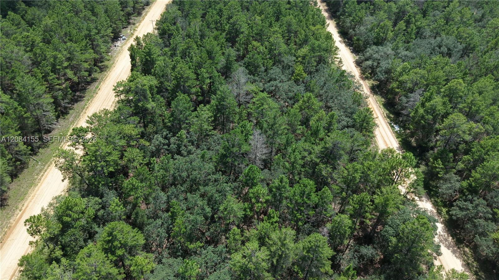 N/A Neilsen Ave, Other City - In The State Of Florida FL 32148 photo 5
