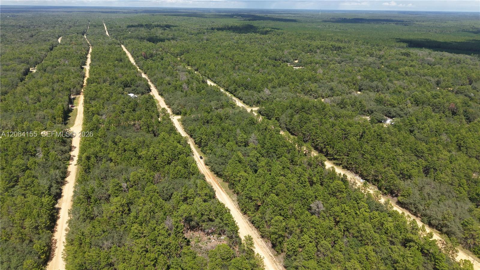 N/A Neilsen Ave, Other City - In The State Of Florida FL 32148 photo 4