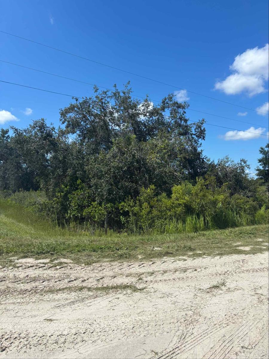 16014 NW 282ND Street, Okeechobee FL 34972 photo 2