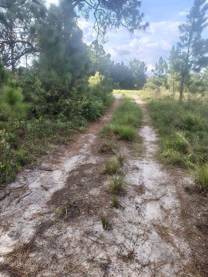 16791 NW 314th Street, Okeechobee FL 34972 photo 2