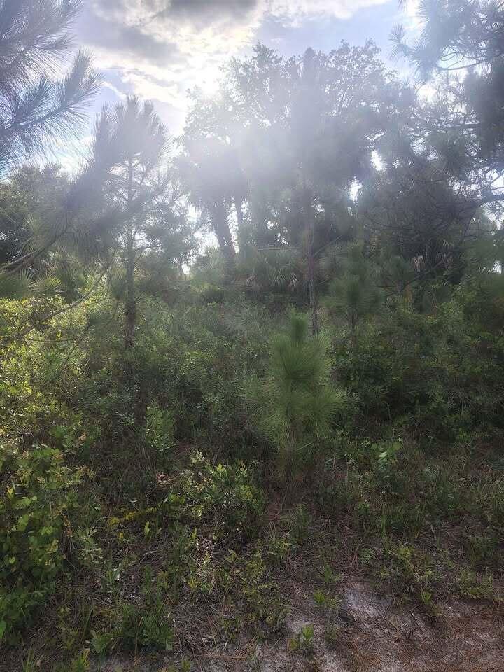 16791 NW 314th Street, Okeechobee FL 34972 photo 5