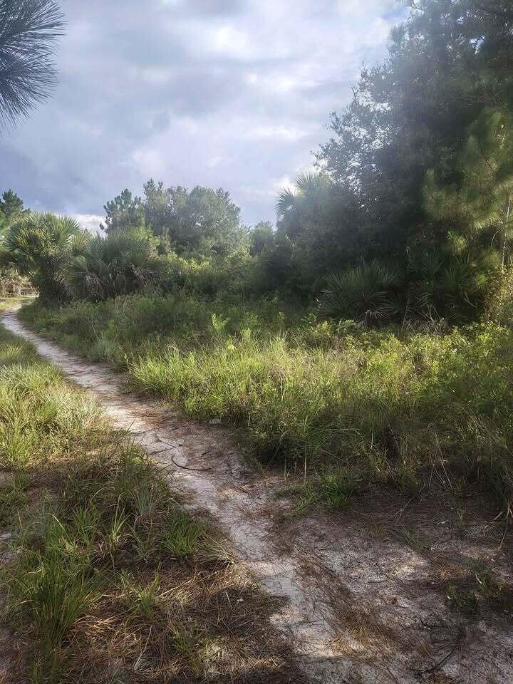 16791 NW 314th Street, Okeechobee FL 34972 photo 4