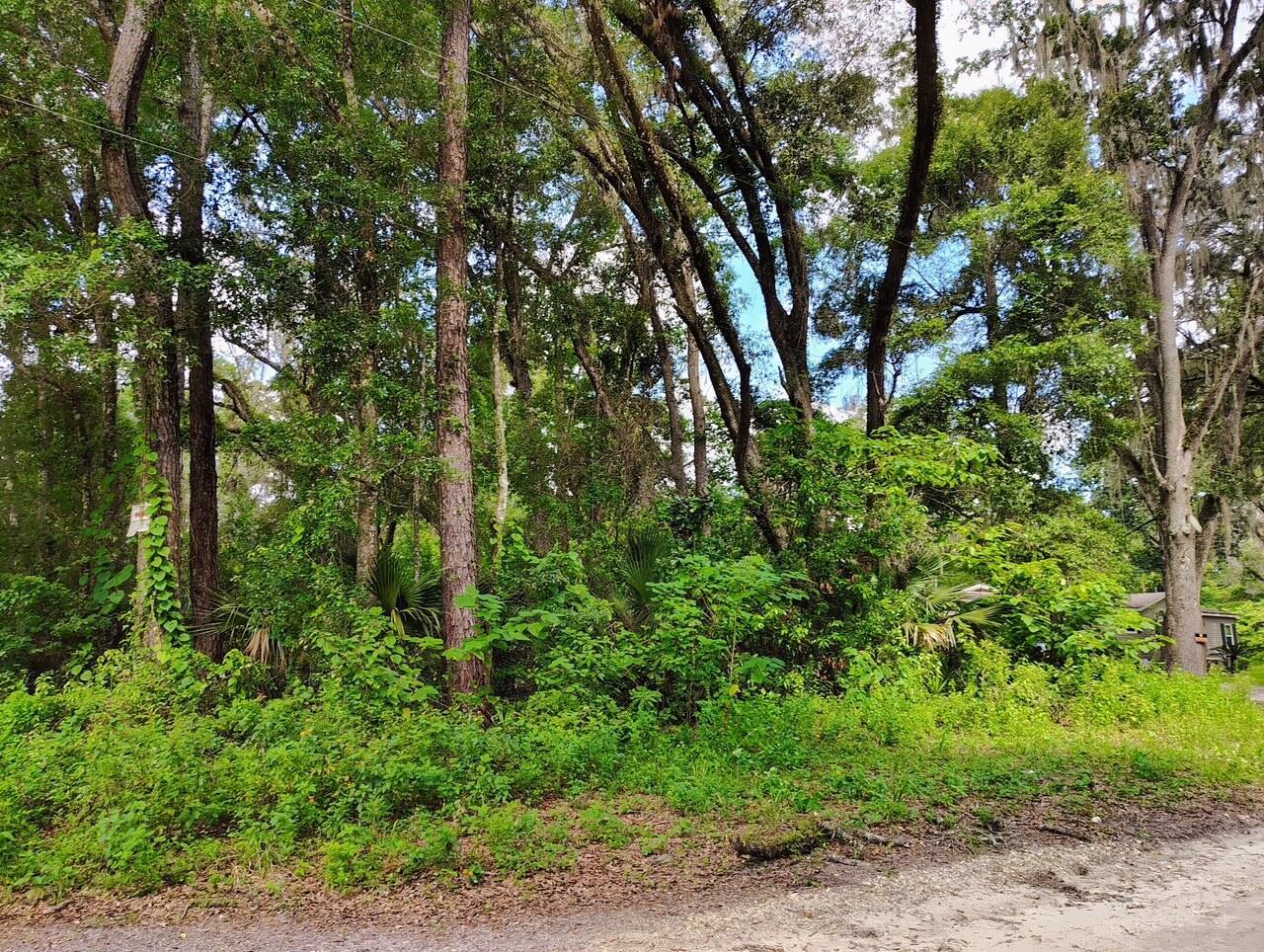 0000 NW 66th Street, FL 34475 photo 5