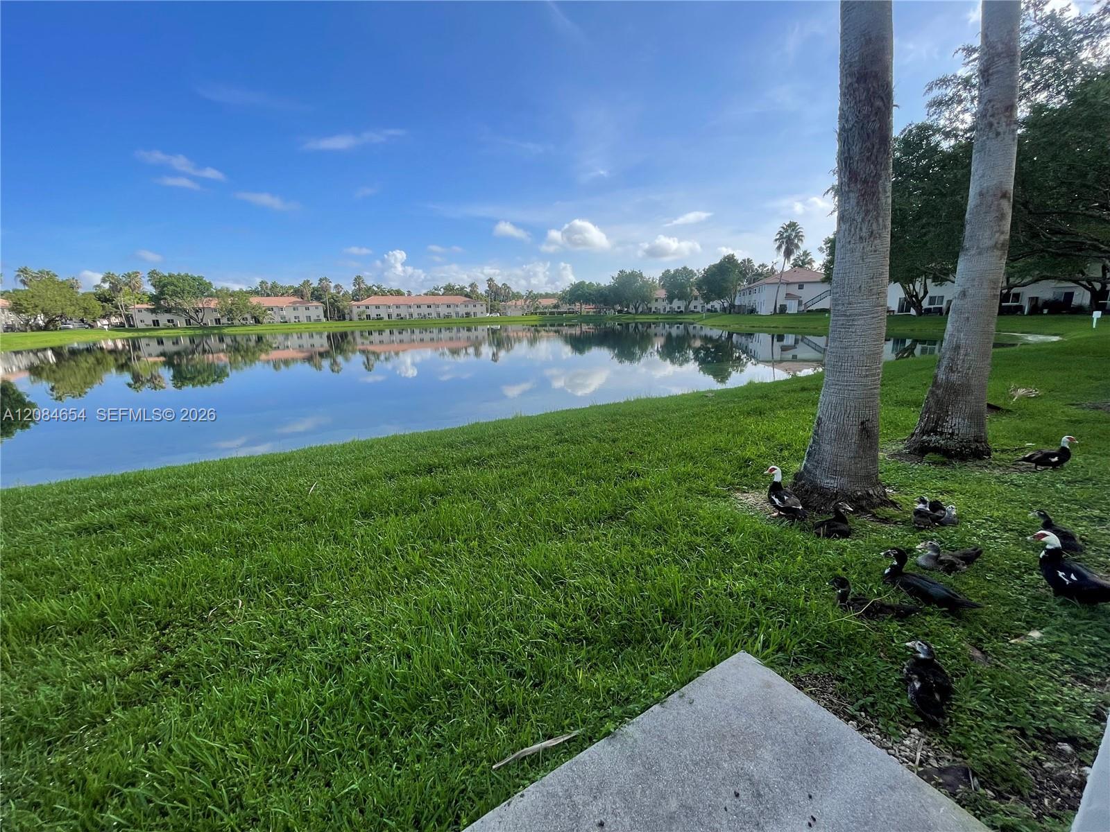 1251 SE 31st Ct # 54, Homestead FL 33035 photo 5