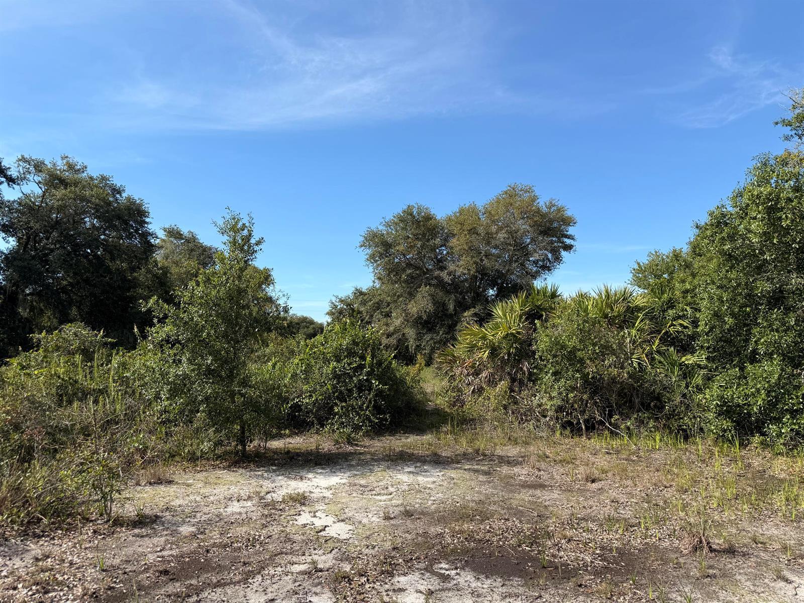 21231 NW 270TH Street, Okeechobee FL 34972 photo 4