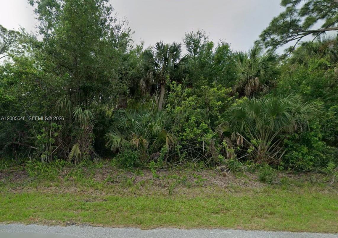 23343 Buckner Ave, Port Charlotte FL 33980 photo 2