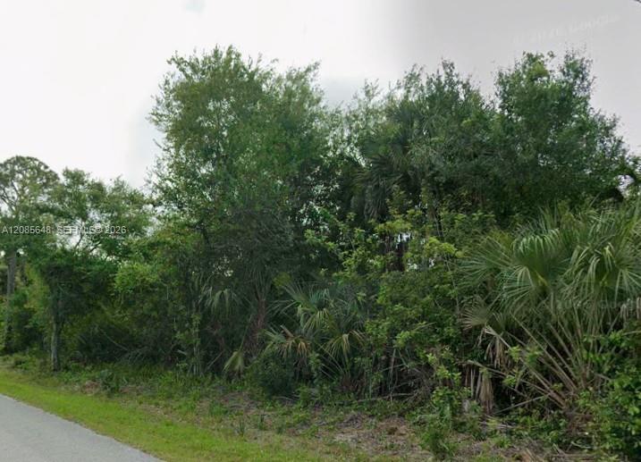 23343 Buckner Ave, Port Charlotte FL 33980 photo 3