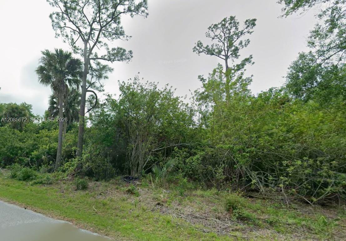 23351 Buckner Ave, Port Charlotte FL 33980 photo 3