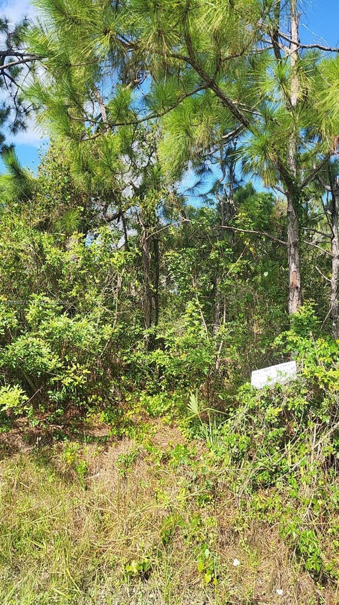 29256 MARIS DR, Punta Gorda FL 33982