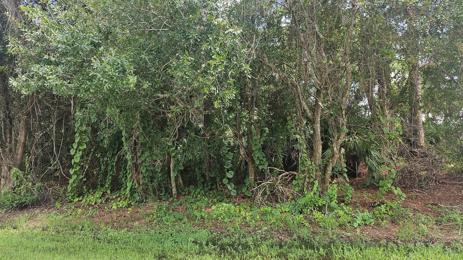 1757 SW Day Street, Port St. Lucie FL 34953