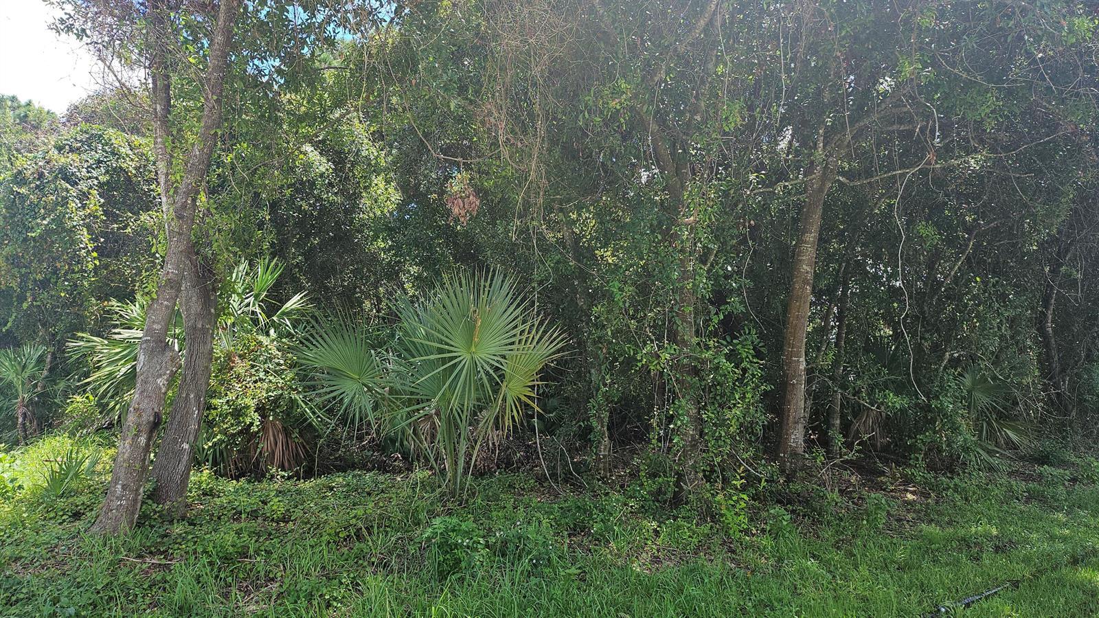 1743 SW Day Street, Port St. Lucie FL 34953 photo 2