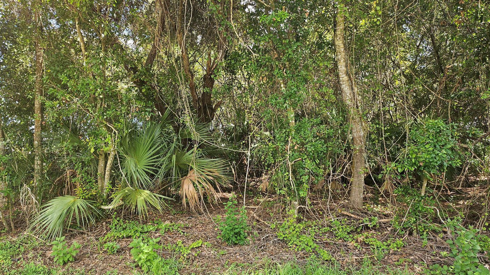 1743 SW Day Street, Port St. Lucie FL 34953 photo 3