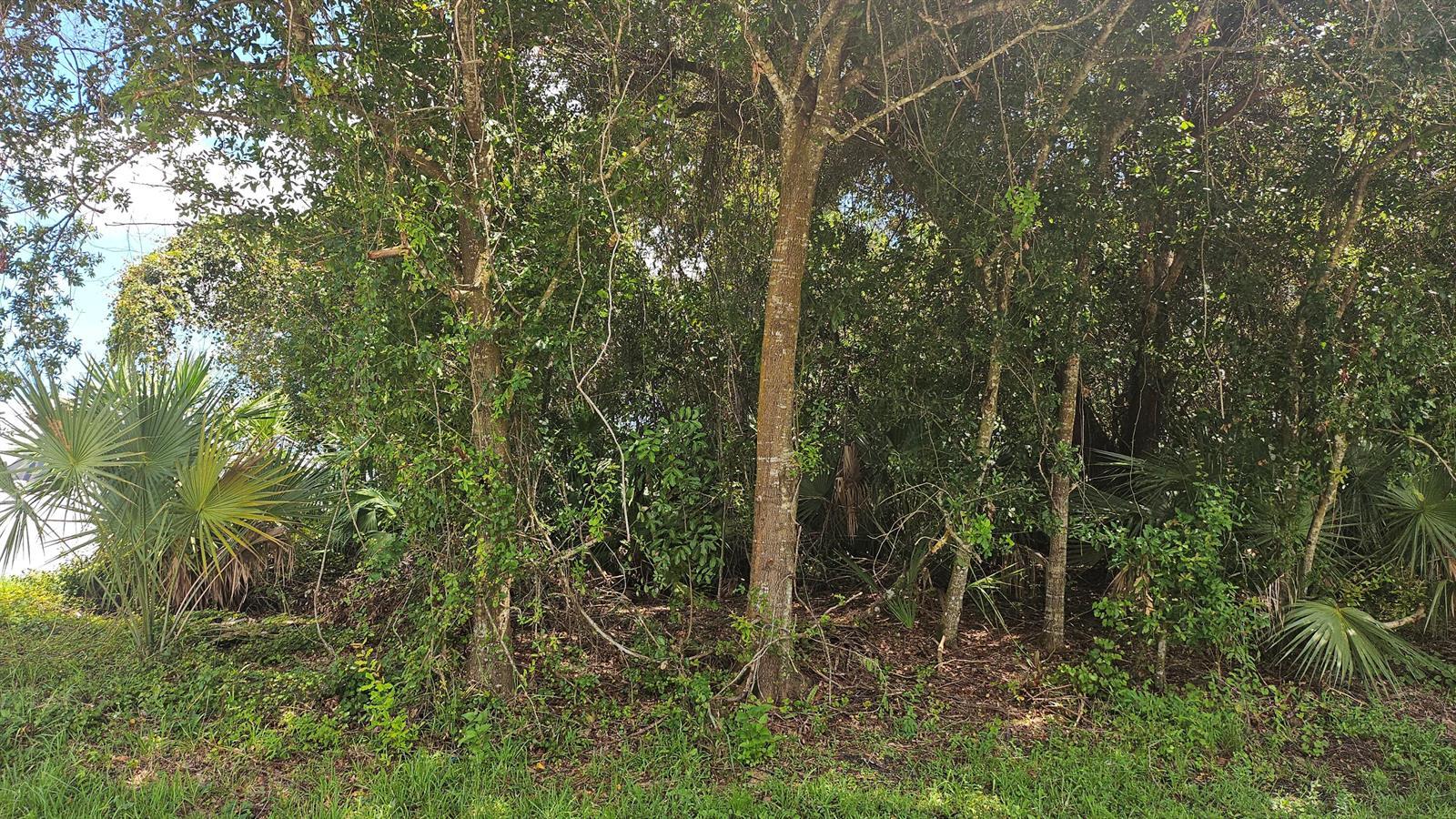 1743 SW Day Street, Port St. Lucie FL 34953