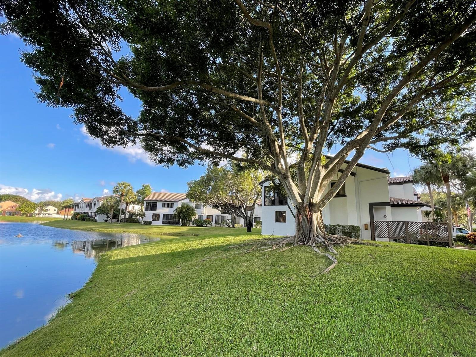 7525 NW 61ST Terrace # 3301, Parkland FL 33067 photo 5