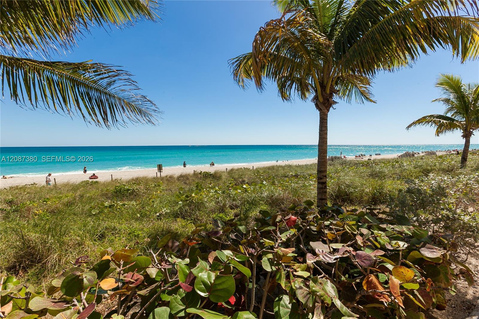 1850 S Ocean Dr # 105, Hallandale Beach FL 33009 photo 4