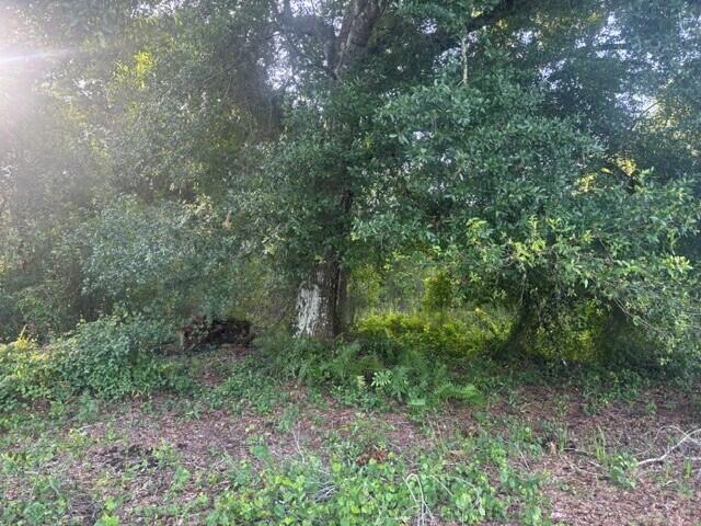0 Nw 4th Street, Okeechobee FL 34972 photo 3