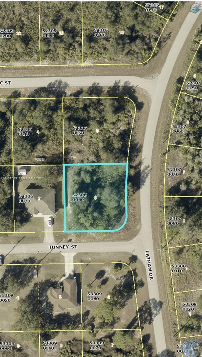 710 Tunney Street, Lehigh Acres FL 33972