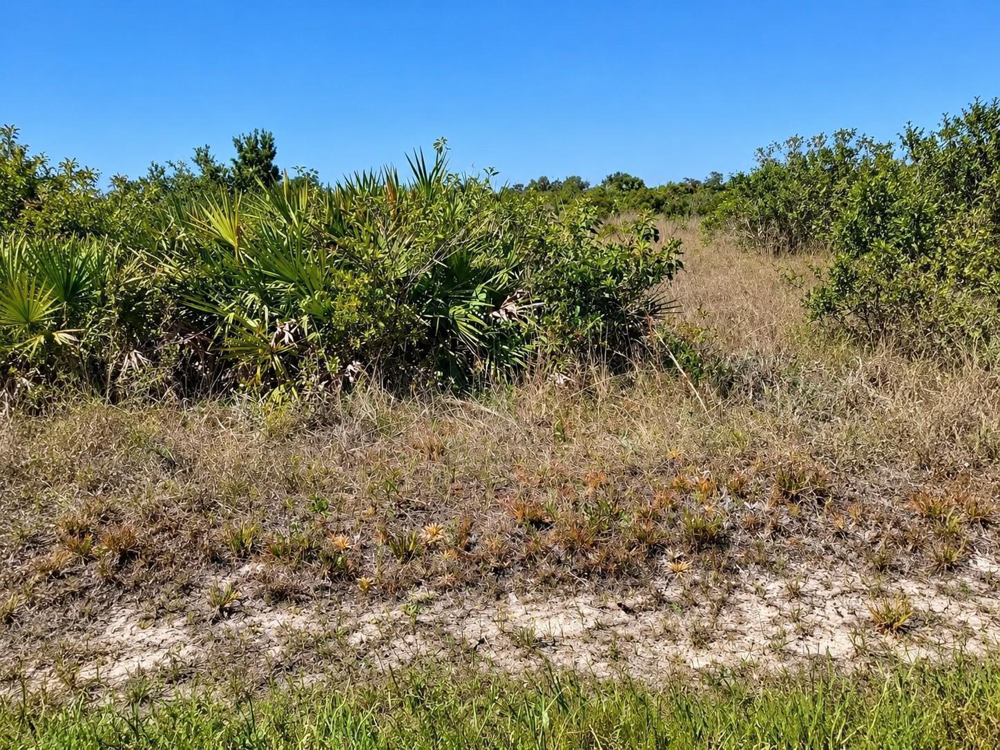 14516 NW 280TH Street, Okeechobee FL 34972 photo 2