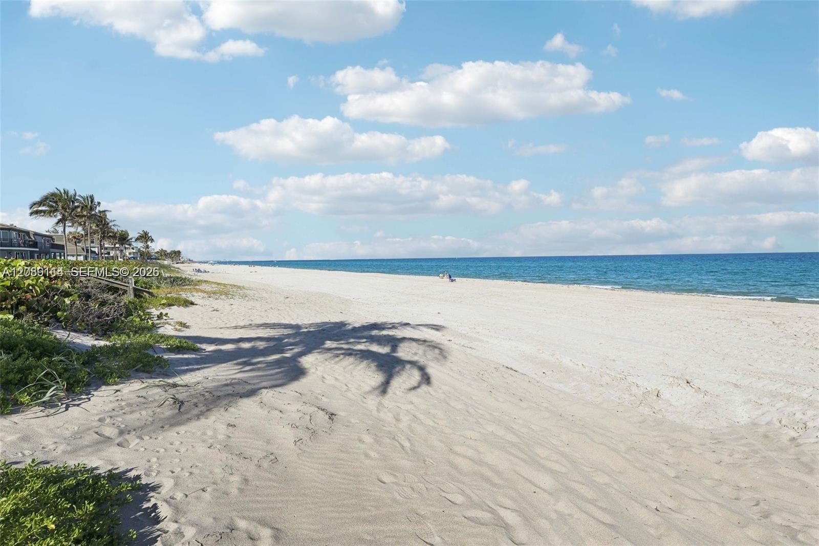 1187 Hillsboro Mile # 4W, Hillsboro Beach FL 33062 photo 3