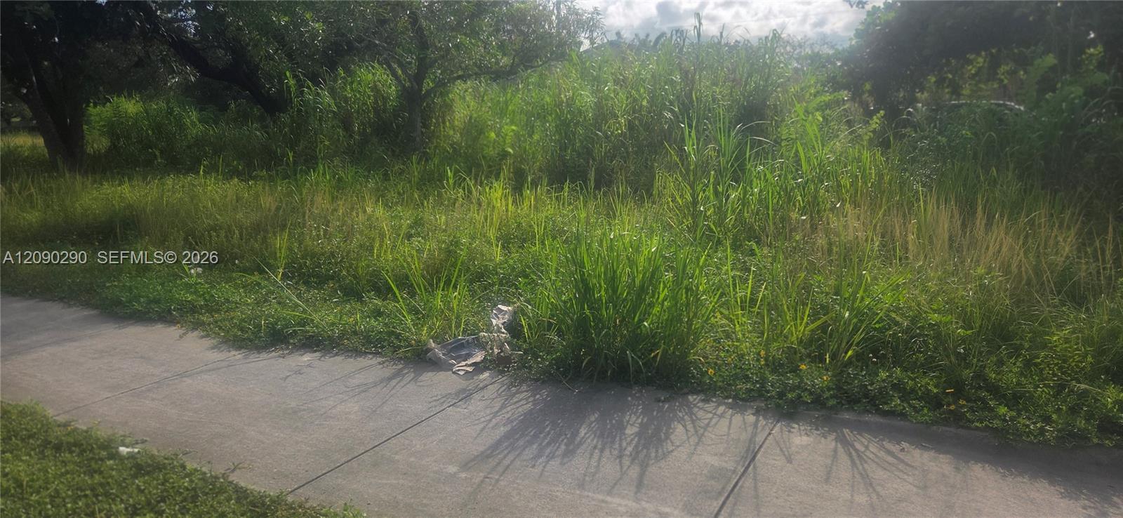 143XX SW 272 St., Homestead FL 33032 photo 3