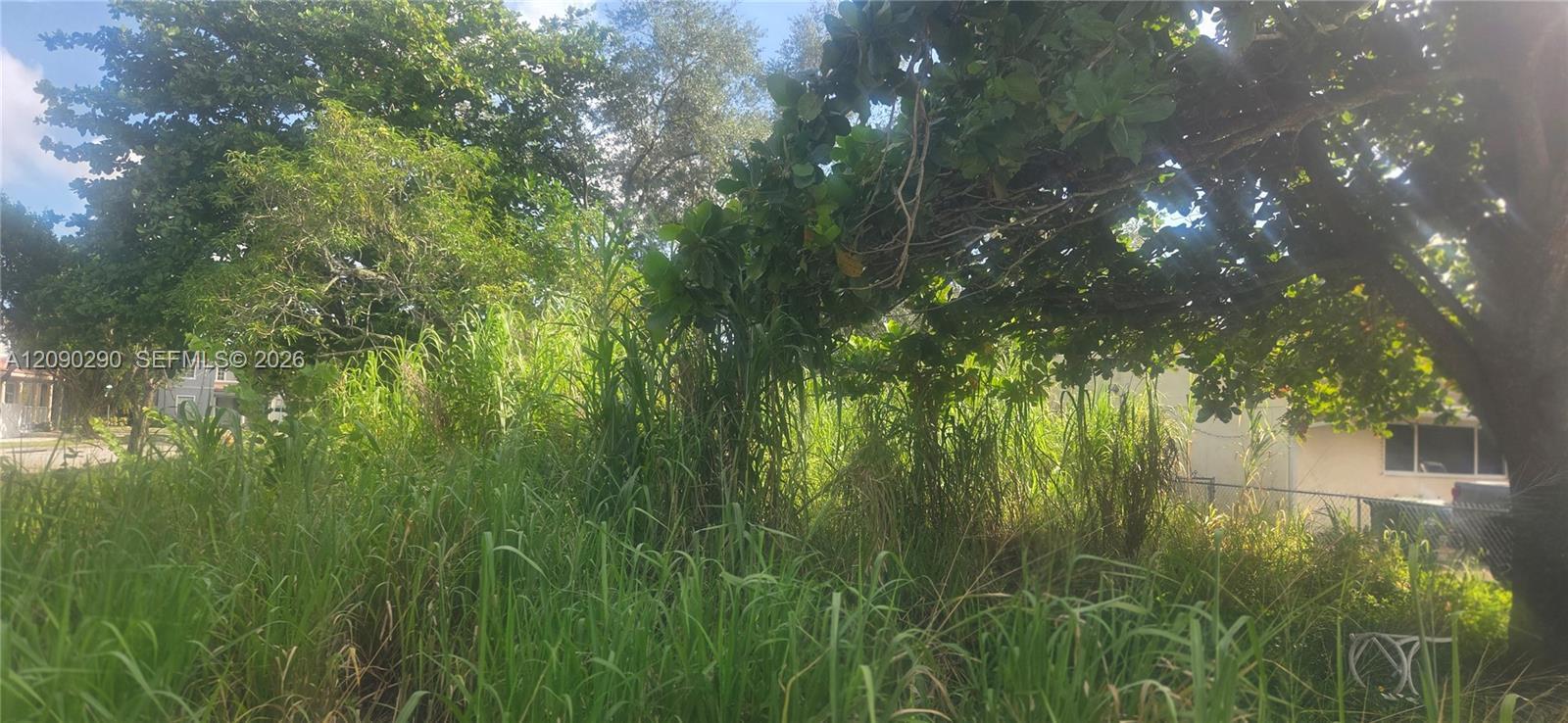 143XX SW 272 St., Homestead FL 33032 photo 5