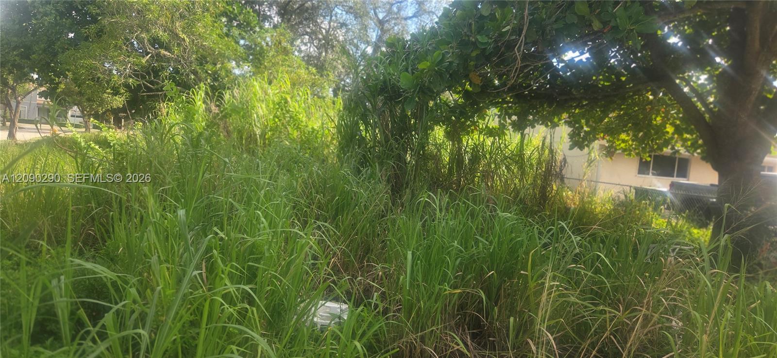 143XX SW 272 St., Homestead FL 33032 photo 4