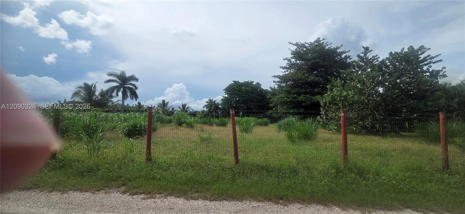 196 SW 164 RD, Homestead FL 33187 photo 5