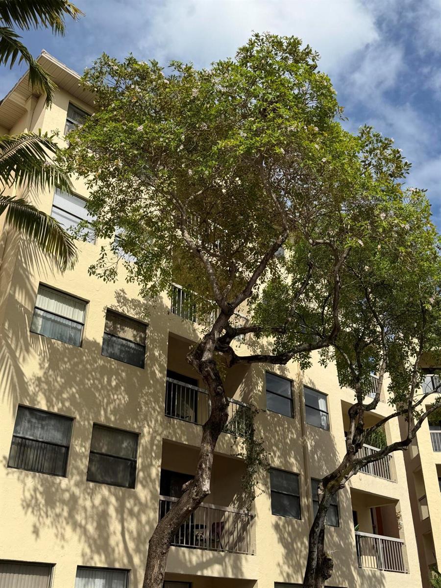 8343 LAKE Drive # 207, Doral FL 33166 photo 4