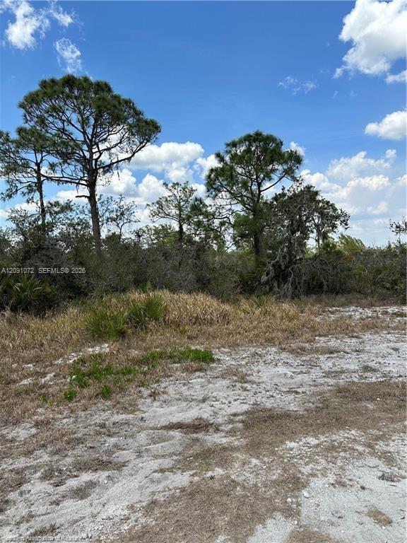 5128 Coruna Ave, Sebring FL 33872 photo 2