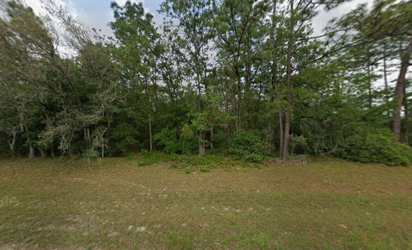 0 SW 60th Circle, Ocala FL 34473 photo 2