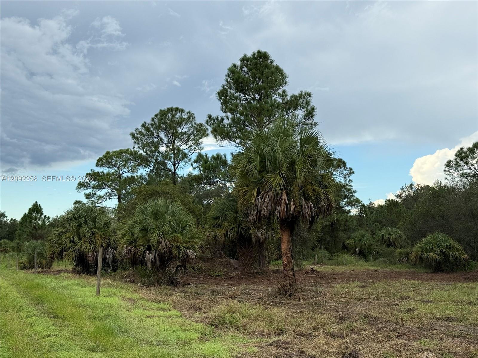 380 S LINDERO ST, Clewiston FL 33440 photo 4