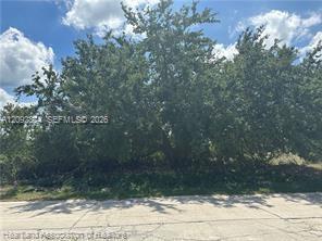 1288 Blue Heron Drive, Sebring FL 33876 photo 3