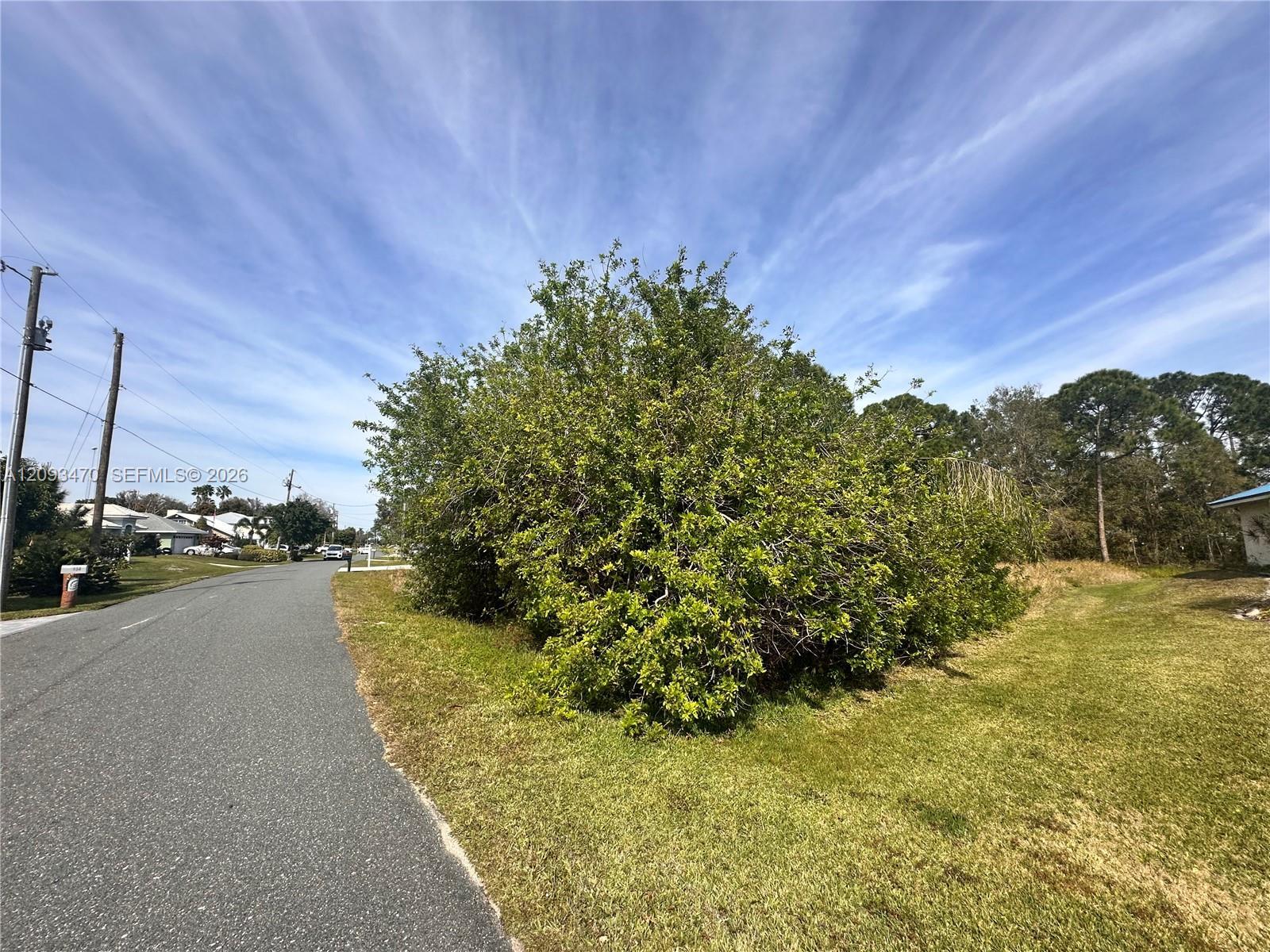 131 Blue Moon Avenue, Lake Placid FL 33852 photo 2