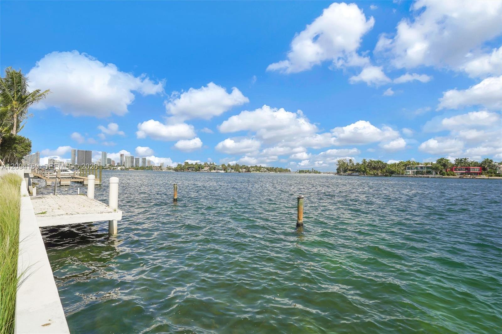 205 N Hibiscus Dr, Miami Beach FL 33139 photo 2