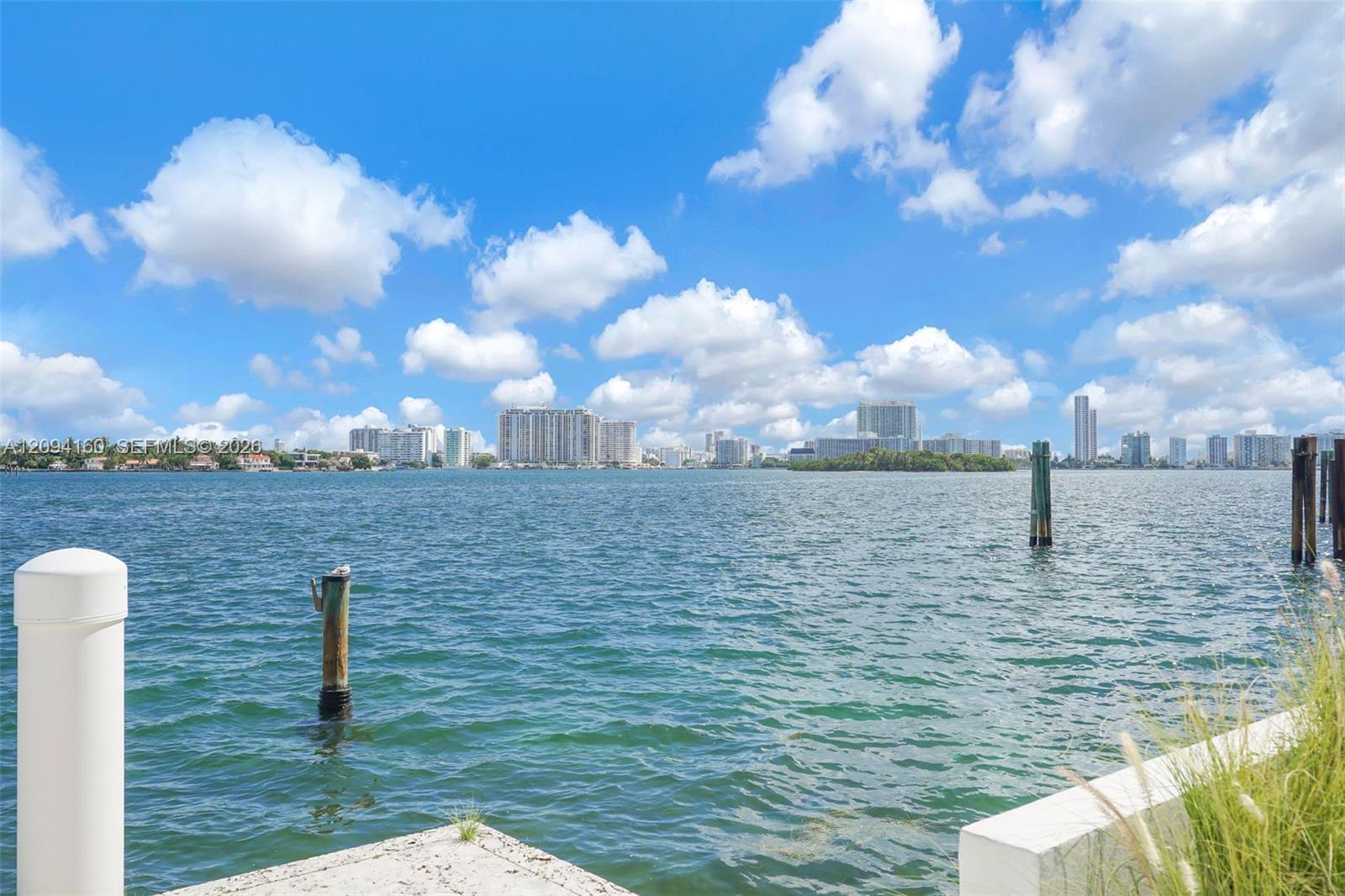 205 N Hibiscus Dr, Miami Beach FL 33139 photo 3
