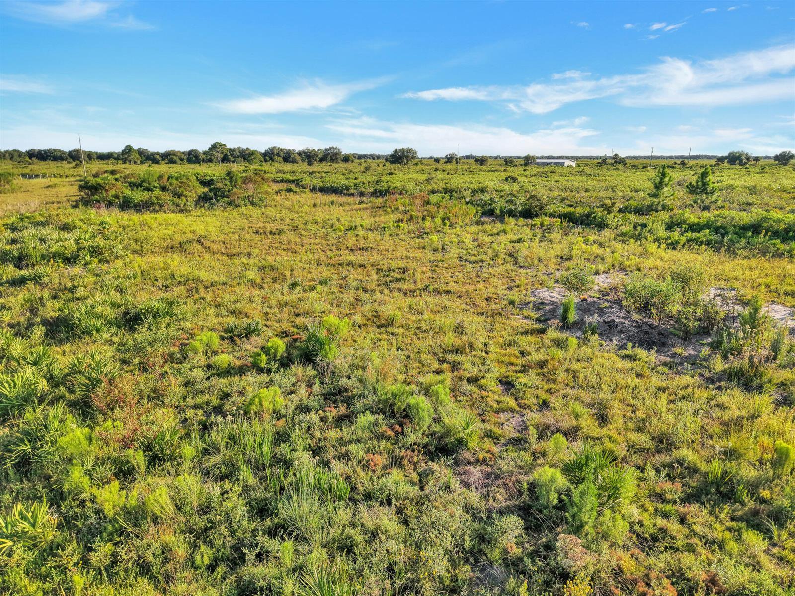 22184 NW 278TH Street, Okeechobee FL 34972 photo 4