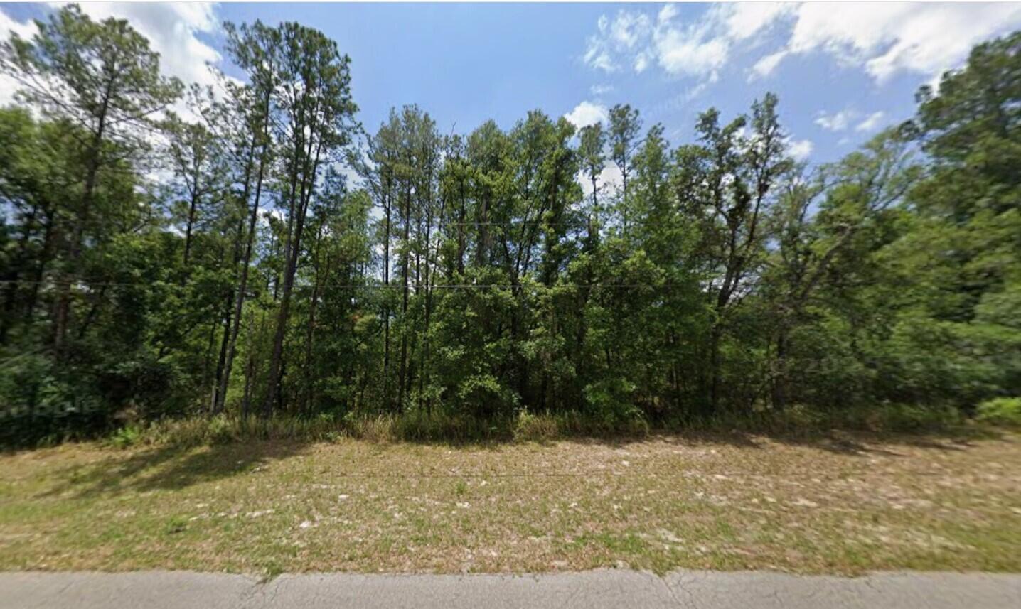Tbd 128TH Loop, Ocala FL 34473 photo 2