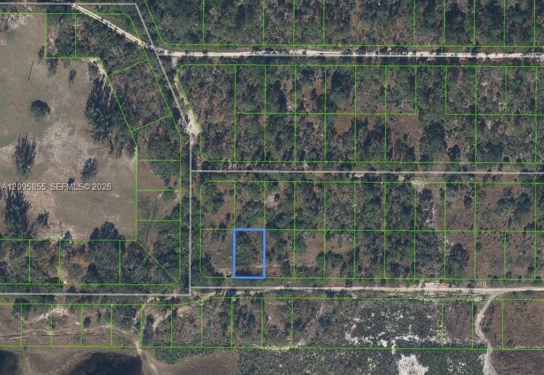 208 Claverton Drive, Lake Placid FL 33852