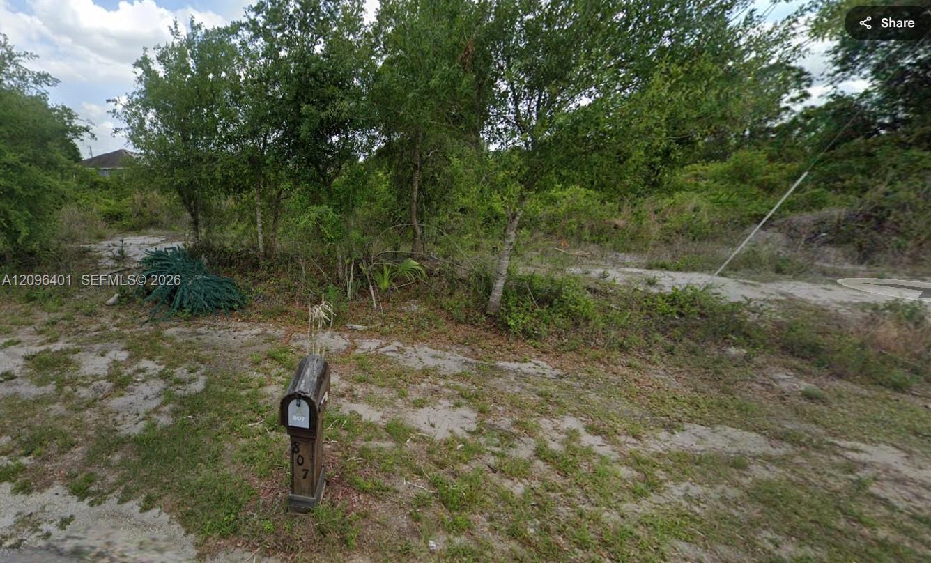 808 Fredeerick Reid St E, Other City - In The State Of Florida FL 33974 photo 5