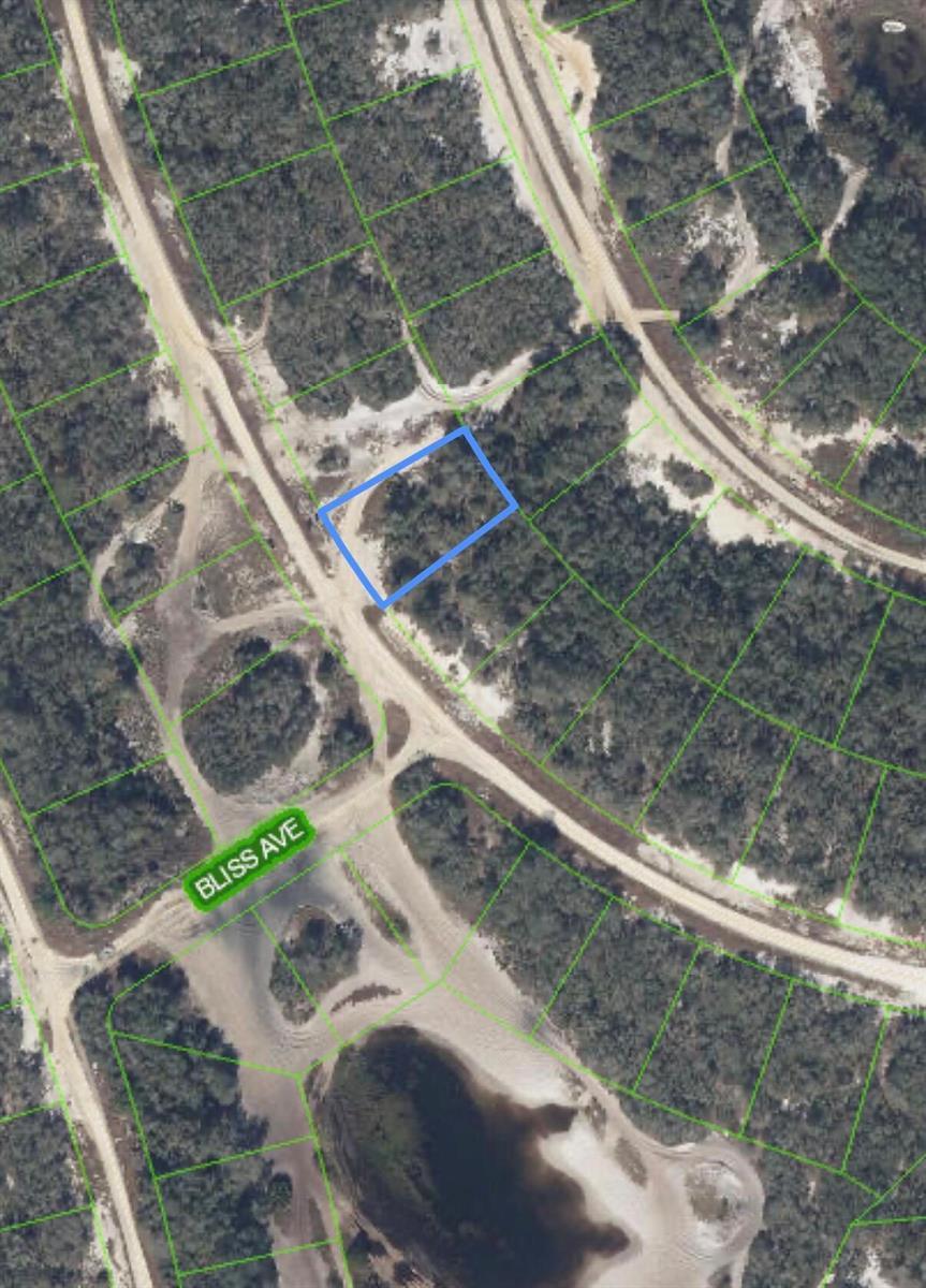 229 RHYTHM Drive, Lake Placid FL 33852 photo 3