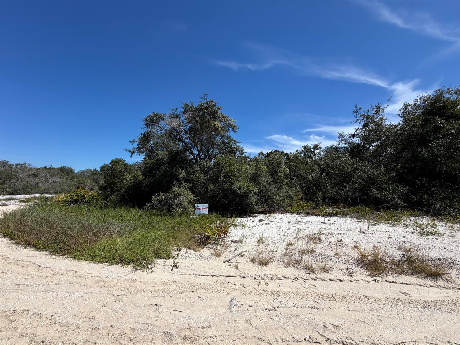 229 RHYTHM Drive, Lake Placid FL 33852 photo 4