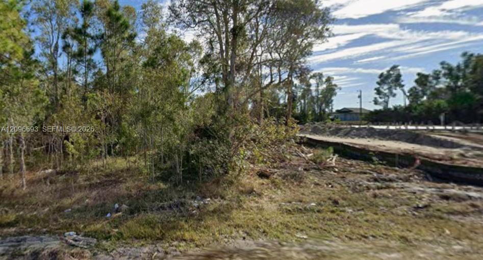 909 Ardmore st, Lehigh Acres FL 33974 photo 5