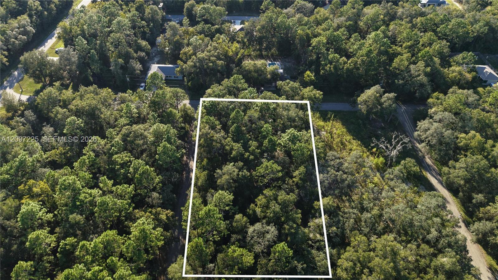 3109 E MILLSIDE LN, Inverness FL 34453 photo 3