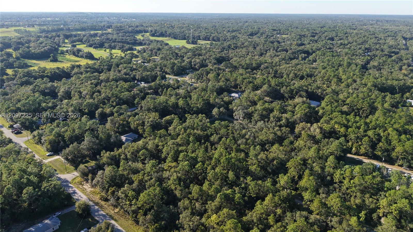3109 E MILLSIDE LN, Inverness FL 34453 photo 5